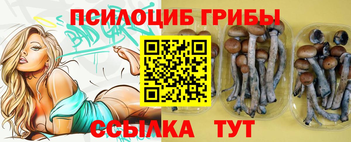 Галлюциногенные грибы Magic Shrooms Брянск
