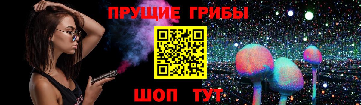 Брянск  Галлюциногенные грибы Psilocybe  Вход с VPN 